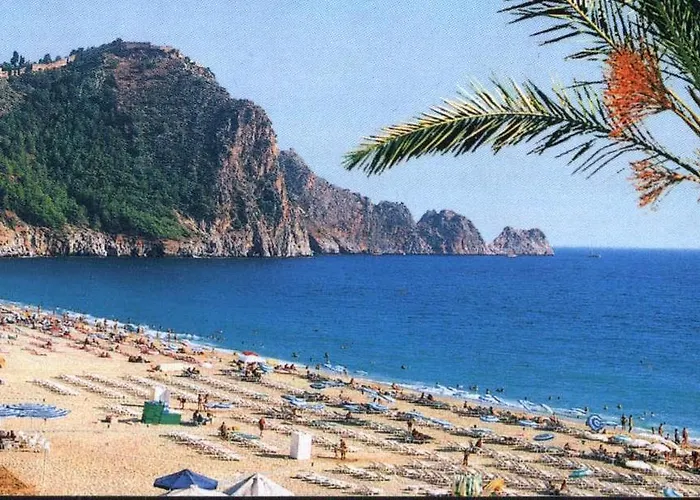 ホテル Hedef Kleopatra Golden Sun *